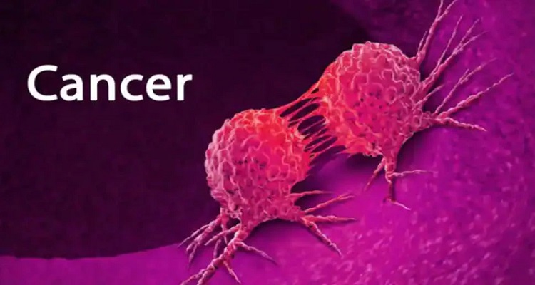 5 36 વૈજ્ઞાનિકોને મળી મોટી સફળતા,કેન્સર જેવી ખતરનાક બીમારીની મળી સારવાર!જાણો વિગત