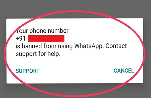 Do you also use broadcast in WhatsApp?