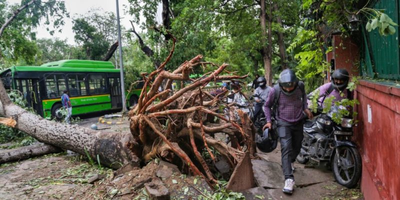 Heavy storm kills 2 in Delhi, knocks down hundreds of trees