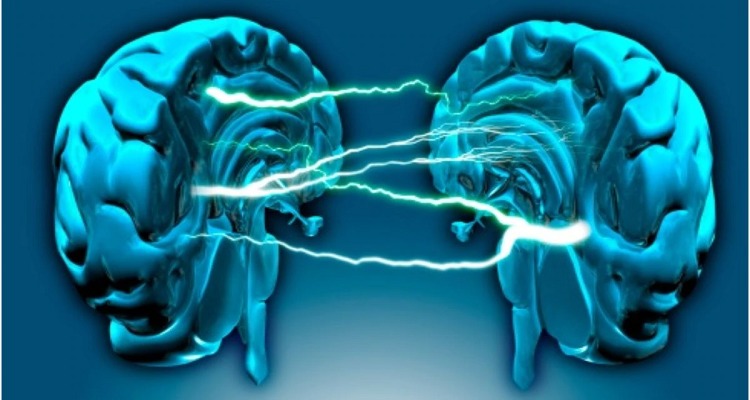 k2 1 1 માણસ અડધા મગજથી પણ ચહેરા અને શબ્દો ઓળખી શકે છે: અભ્યાસ