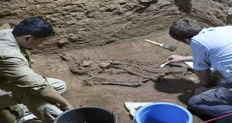 1111 પાષાણ યુગમાં 31,000 વર્ષ પહેલા માણસો કરતા હતા સર્જરી, ઈન્ડોનેશિયાની ગુફામાંથી મળ્યું પગ કપાયેલું હાડપિંજર