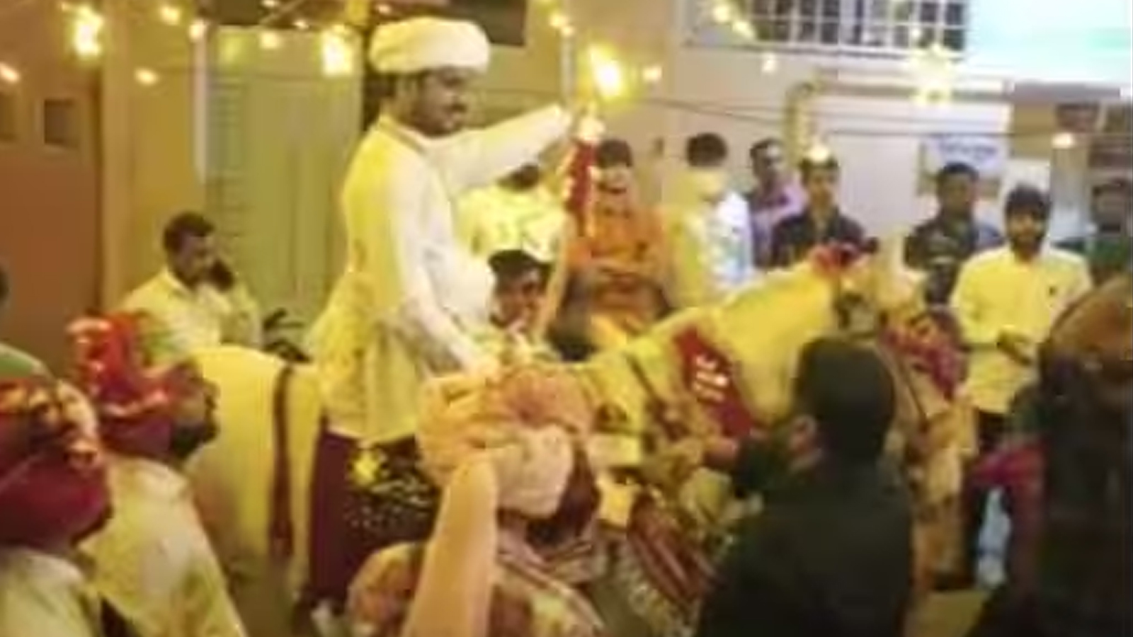 Rajkot wedding Viral Video