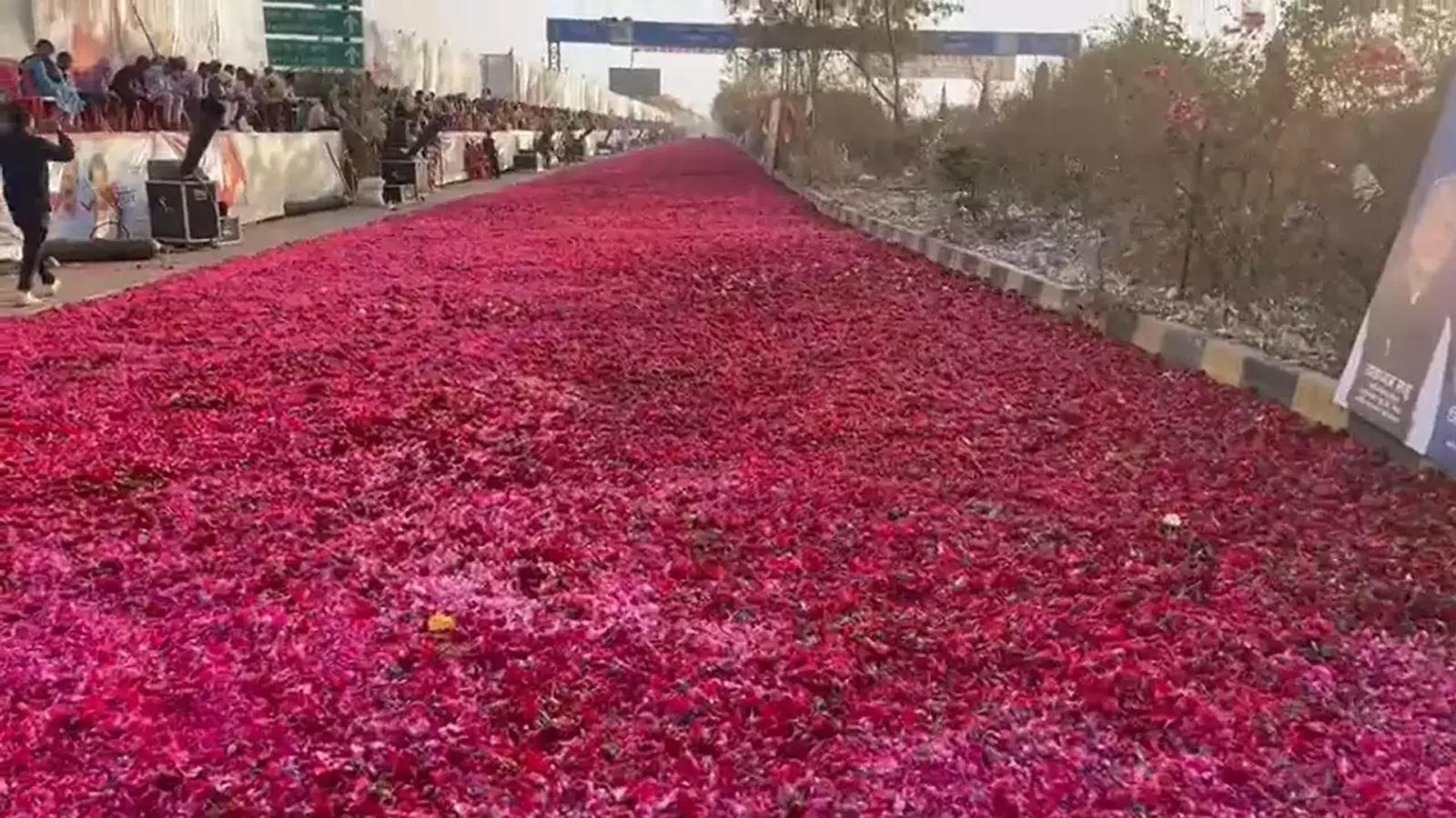 Roses for Priyanka Gandhi