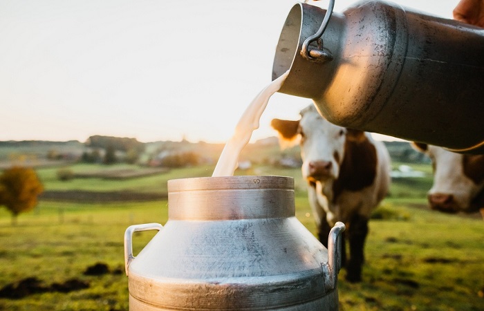 India Milk Production દૂધ ઉત્પાદનમાં ભારત વિશ્વનો નંબર વન દેશ બન્યોઃ પુરુષોત્તમ રુપાલા