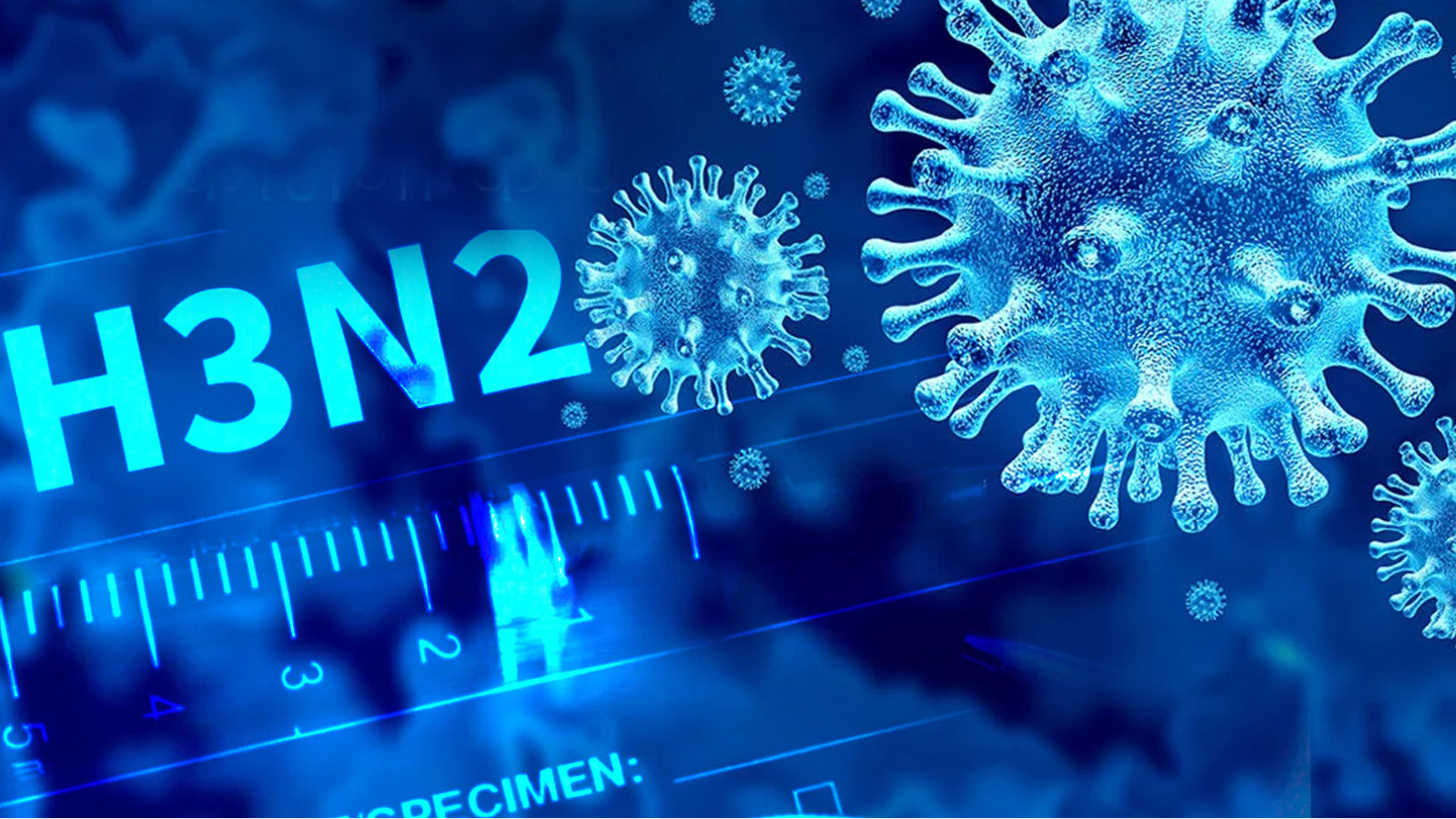 2 deaths due to H3N2