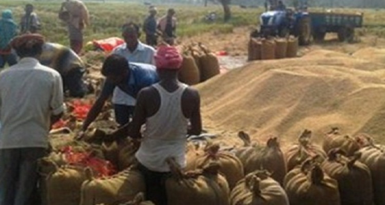 15 ખેડૂતોમાં ખુશીની લહેર, ગુજરાતમાં 10મી માર્ચથી ચણા, તુવેર અને રાયડાની ટેકાના ભાવે ખરીદી શરૂ થશે