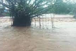 12 2 રાજ્યના 177 તાલુકામાં સાર્વત્રિક વરસાદ,ભાવનગરમાં 4 ઇંચ વરસાદ,અનેક વિસ્તારો પાણીમાં ગરકાવ