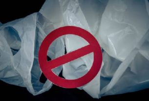 Plastic Ban In New Zealand