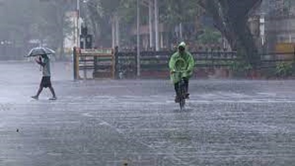 Gujarat Rain 1 દિલ્હીમાં ફરી ચોમાસાનો વરસાદ; નોઈડામાં તમામ શાળાઓ બંધ