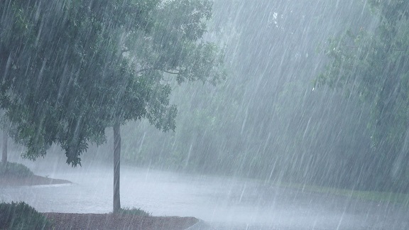 Heavy rain અમદાવાદમાં આગામી 48 કલાક ભારેઃ સૌરાષ્ટ્રમાં પણ અતિભારે વરસાદની ચેતવણી