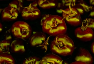Tomato Centre ટામેટા સસ્તા કરવા કેન્દ્ર સક્રિયઃ બીજા રાજ્યોમાંથી ખરીદી કરી નીચા ભાવે વેચશે