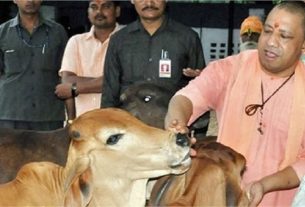 Chief Minister Swadeshi Cow Breeding Scheme