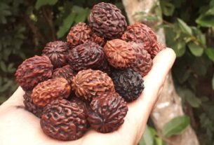 Keep these things in mind after wearing Rudraksha, you will get benefits