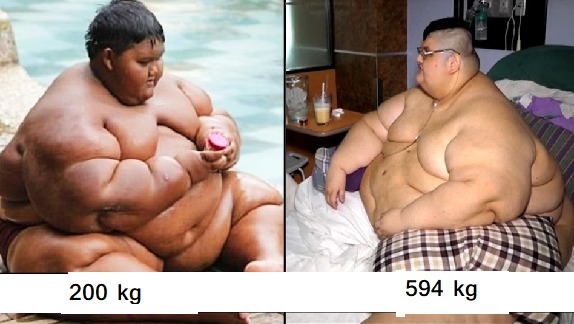 The world's fattest children have grown up, some weighing 594 kg and some 444 kg