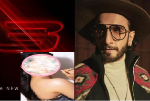 Ranveer Singh can be seen in Don 3, this hot actress
