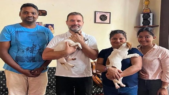 Rahul Gandhi went on a private visit to Goa, brought this special 'gift' from there