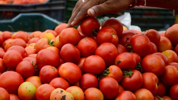 tomatoes from Nepal