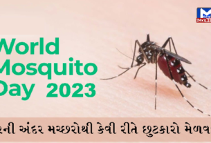 world mosquito day2023