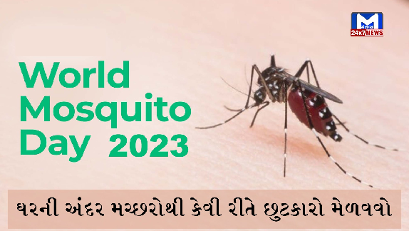 world mosquito day2023