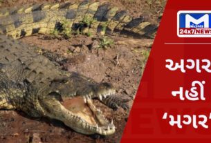 Crocodile Graffic વડોદરામાં પાણીમાં જનારાના માથે ભમે છે મોતઃ મગરના હુમલામાં બેના મોત