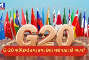 G 20 Summit દિલ્હીમાં દુનિયાભરના નેતાઓનો જમાવડો; G-20 સમિટમાં કયા કયા દેશો લઈ રહ્યાં છે ભાગ?