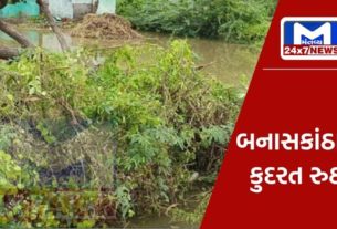 Mantavyanews 9 4 બનાસકાંઠામાં આફતી વરસાદથી જનજીવન ઠપ્પ, ગામમાં પાણી ભરાતા લોકો ત્રાહિમામ