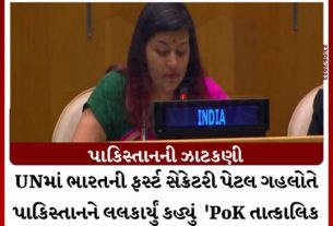 POK 11zon 1 પાકિસ્તાનની ઝાટકણી:UNમાં ભારતની ફર્સ્ટ સેક્રેટરી પેટલ ગહલોતે પાકિસ્તાનને લલકાર્યું કહ્યું 'PoK તાત્કાલિક ખાલી કરો'