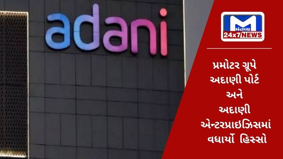 Promoter Group increased stake in Adani Enterprises and Adani Port,
