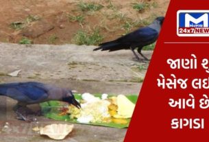 Crows bring messages from ancestors in Pitrapaksha