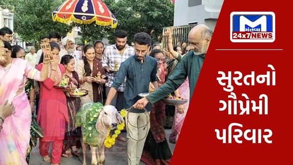 The cow loving family of Surat got the calf home...