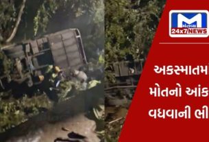 Eight Dead Several Injured After Tourist Bus Falls Into Gorge In Tamil Nadu તામિલનાડુમાં બસ 100 ફૂટ ઊંડી ખીણમાં ખાબકી, આઠના મોત