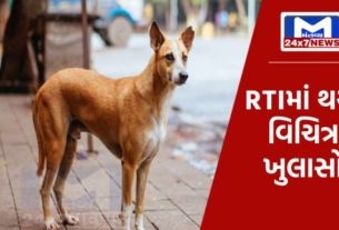 YouTube Thumbnail 2023 10 27T135727.130 સુરત મહાનગરપાલિકામાં રખડતા કૂતરાઓના નામે ગજબનું કૌભાંડ!
