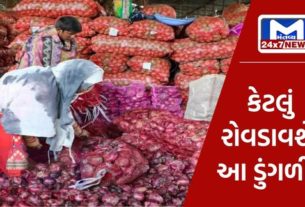 Onions became expensive before Diwali, the government took these measures