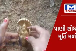 A gold idol of Lord Vishnu was found during the excavation, after which people did this...