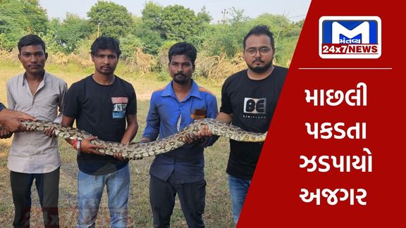 A giant python found in a canal in Sanand's Melasan village was rescued