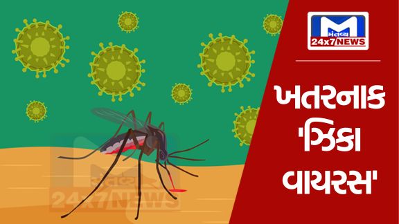 YouTube Thumbnail 2023 11 03T084507.424 બેંગલુરુમાં 'Zika Virus'નો પહેલો કેસ નોંધાયો, જાણો તેના લક્ષણો અને ઉપાયો