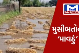 YouTube Thumbnail 2023 11 27T111602.785 કમોસમી વરસાદઃ આજે ગુજરાતના આ ત્રણ જિલ્લાઓનું આવી બન્યું