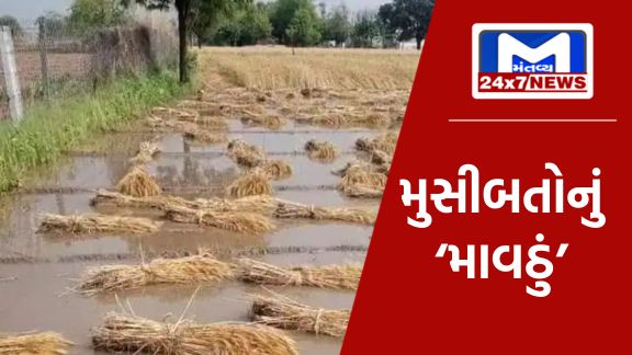 YouTube Thumbnail 2023 11 27T111602.785 કમોસમી વરસાદઃ આજે ગુજરાતના આ ત્રણ જિલ્લાઓનું આવી બન્યું