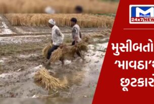 YouTube Thumbnail 2023 11 28T091515.743 આજે માવઠાનું કોઈ સંકટ નહીઃ ખેડૂતોને સૌથી મોટી રાહત