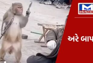 YouTube Thumbnail 2023 12 14T175915.891 વાંદરાના હાથમાં તિક્ષ્ણ હથિયાર, ગુસ્સામાં તેના માલિક પર હુમલો કરવા લાગ્યો, વીડિયો જોઈ તમને હેરાન થઈ જશે