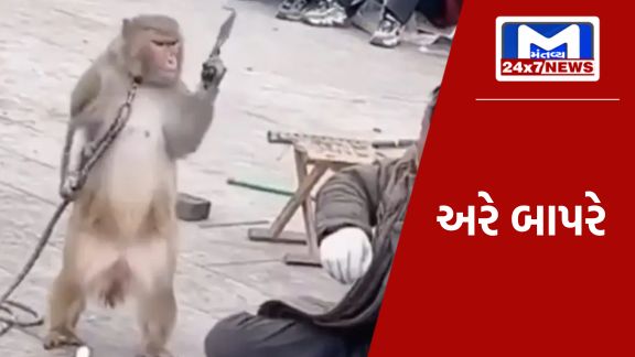 YouTube Thumbnail 2023 12 14T175915.891 વાંદરાના હાથમાં તિક્ષ્ણ હથિયાર, ગુસ્સામાં તેના માલિક પર હુમલો કરવા લાગ્યો, વીડિયો જોઈ તમને હેરાન થઈ જશે
