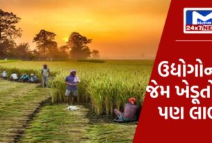 મૃત્યુદરમાં થશે ઘટાડો 30 ગુજરાતના ખેડૂતોની કમાણીમાં થશે વધારો, વન વિભાગના પ્રોજેક્ટથી થશે મોટો લાભ