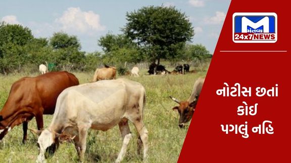 રાધનપુર રોડ પરની 3 સોસાયટીએ ગૌચર જમીન દબાવી, જમીન ખાલી કરવા આપી નોટિસ