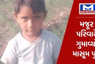 YouTube Thumbnail 100 અમરેલી : રાજુલાના માંડરડી ગામમાં બની દુઃખદ ઘટના, PGVCLનો વાયર પડતા 5 વર્ષના બાળકનું થયું મોત