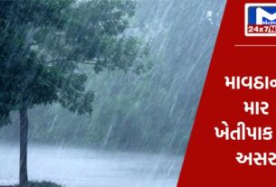 YouTube Thumbnail 2024 03 02T102128.265 ગુજરાતમાં અનેક જિલ્લાઓમાં કમોસમી વરસાદ ખાબક્યો, પાક બચાવવા કૃષિ વિભાગનું સૂચન