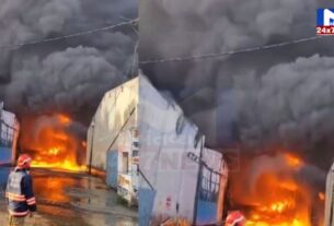 YouTube Thumbnail 2024 03 25T124532.771 દિલ્હીના અલીપુર વિસ્તારમાં ભીષણ આગ, 34 ફાયર બ્રિગેડની ગાડીઓ ઘટનાસ્થળે
