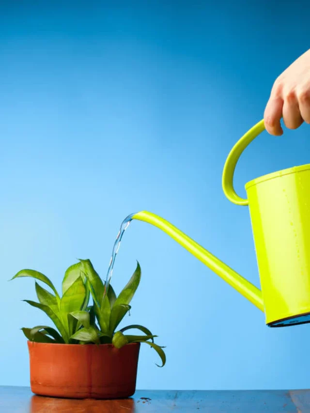 shutterstock_73172272