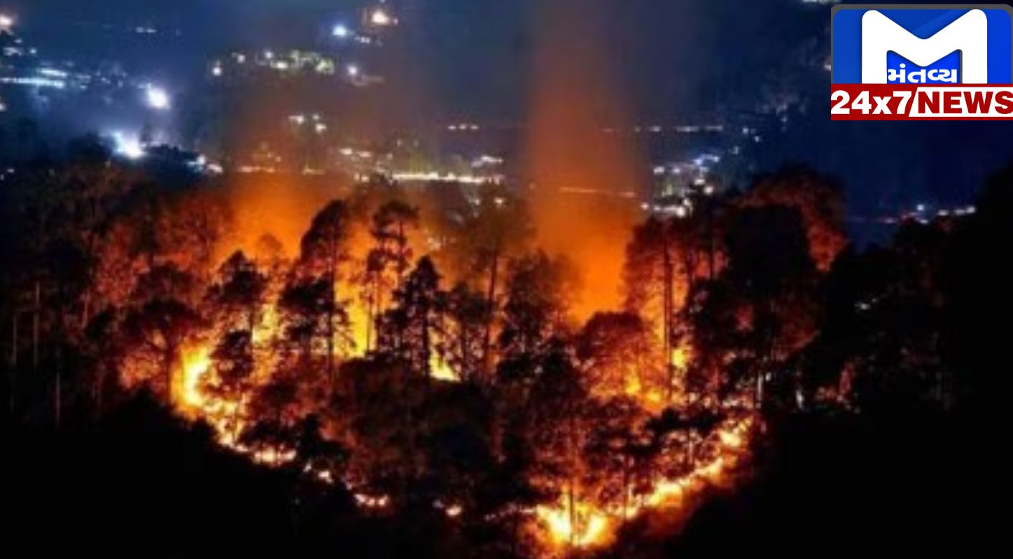 નૈનિતાલના જંગલોમાં લાગેલી આગ શમવાનું નામ લેતી નથી, રહેવાસીઓને જીવનું જોખમ