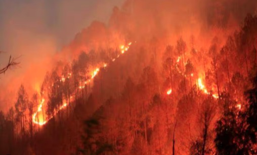 WhatsApp Image 2024 04 27 at 8.56.24 AM નૈનિતાલના જંગલોમાં લાગેલી આગ શમવાનું નામ લેતી નથી, રહેવાસીઓને જીવનું જોખમ