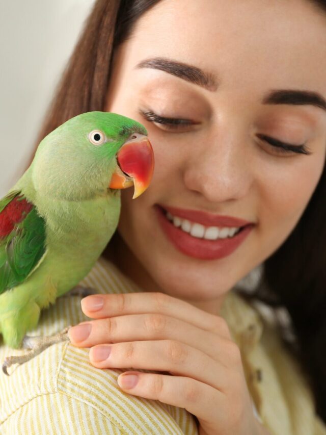 shutterstock_1690895956